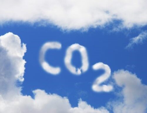 Carbon Dioxide in Perspective